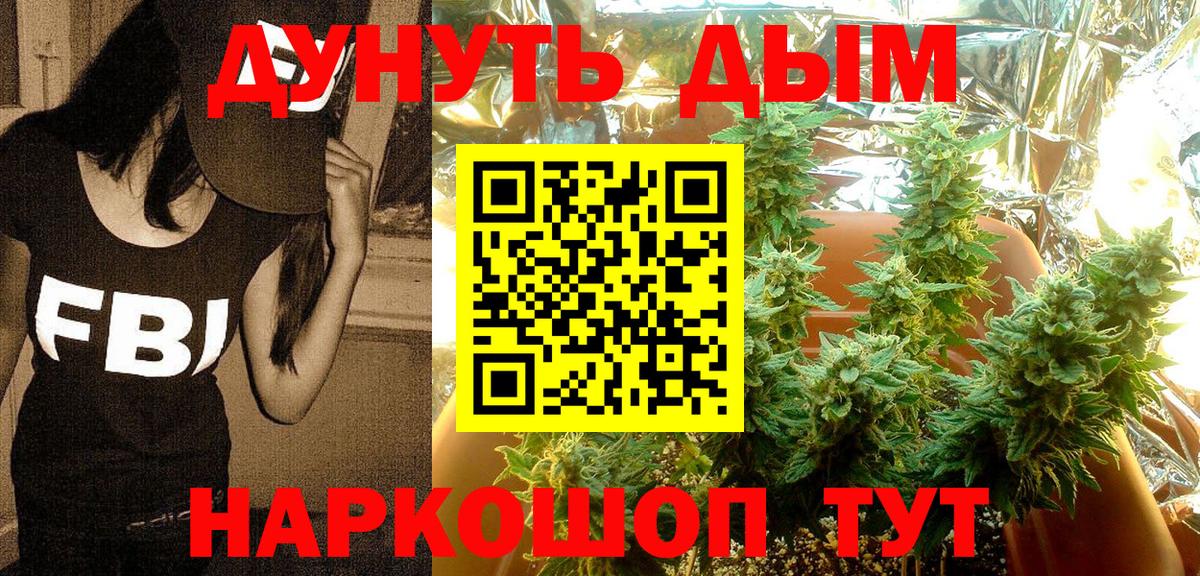 A PVP Зеленокумск